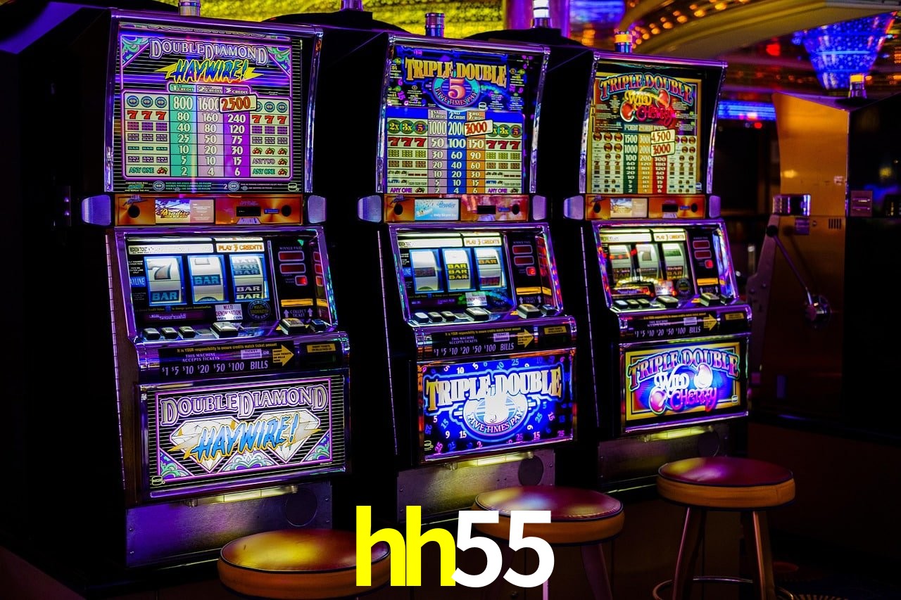 Login Seguro hh55